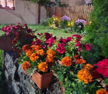 Beli Iskar House | Юндовата къща