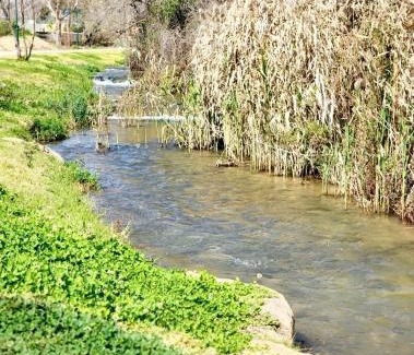 Bruchim Qela' Alon House | אגם בטבע