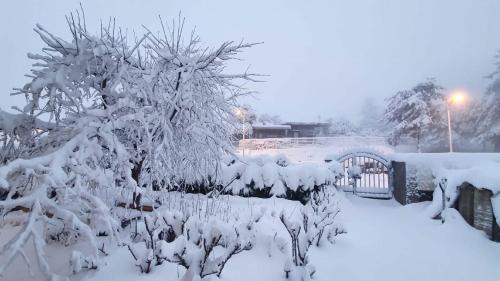 Odem Cabin | גן הדובדבנים