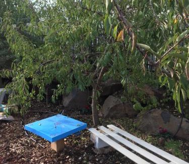 El-Rum Bed & Breakfast | החן בירוק