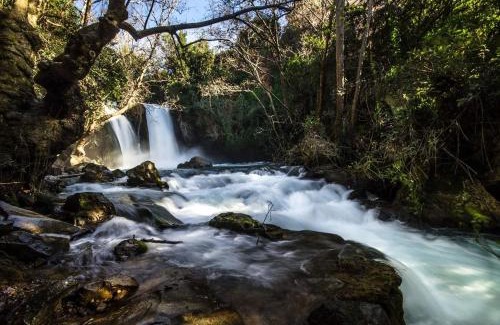Sde Nehemia Apartment | על שפת הבניאס