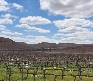 Ramat Negev House | פטריוט -יקב ננה