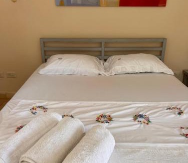 Malkiya Apartment | שלווה בהר