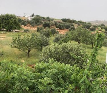 Ajloun Governorate House | بيت مستقل مع حديقة فواكه 3 غرف نوم وتكييف ومجلس