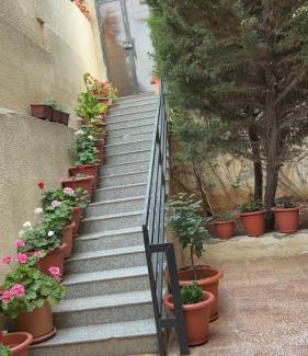Irbid Apartment | شقه مفروشه مع حديقه اربد بجانب فندق فلامنجو ومدارس دار العلوم