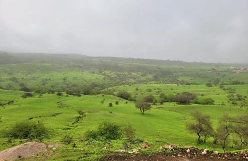 Dhofar Governorate Villa | فيلا رابية جرثنوت