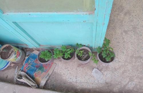 Djelfa Apartment | ولاية الجلفة