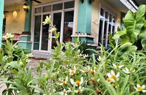Koh Lan Bed & Breakfast | คิวทอง บังกะโล (Q-Thong bungalow)