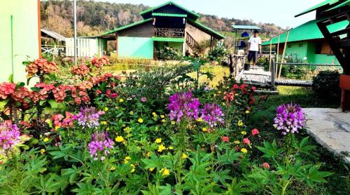 Pua House | ชมนาโฮมสเตย์บ้านนาคำ