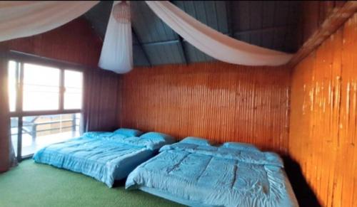 Chiang Saen House | ดอยสะโง้วิวโฮมสเตย์บ้านหลังใหญ่