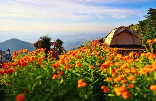 Samoeng Tai House | บ้านกระจก - Raiwassana Baandoy