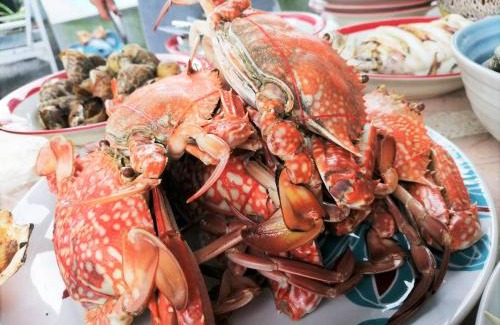 Hua Hin House | บ้านพิมพ์มาดา พูลวิลล่า หัวหิน มีโอเกะ ปิ้งย่าง เสียงดังได้ รองรับ 4-10 คน