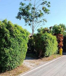 Samut Sakhon House | บ้านสโนว์เขาค้อ