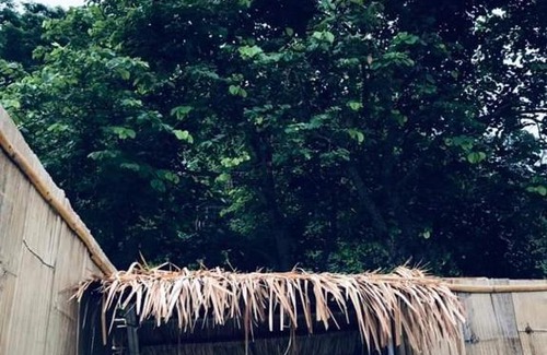 Chiang Rai Province Other | บ้านไร่นายสิงห์-Banrainaysing