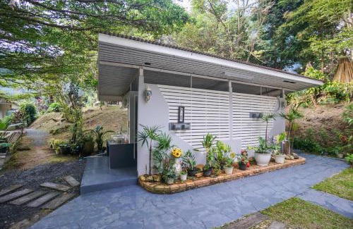 Doi Saket House | ปางสูงเฮาส์ pangsung house บ้านมินิ เหลือง