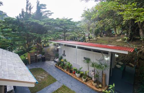 Doi Saket House | ปางสูงเฮาส์ pink house