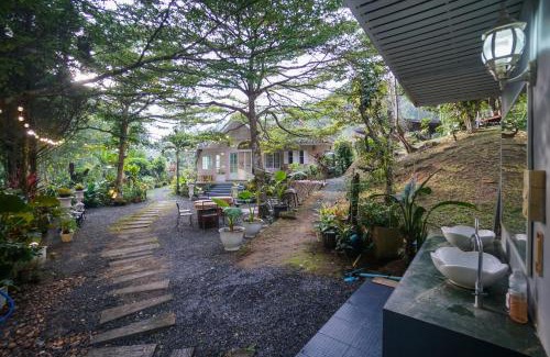Doi Saket House | ปางสูงเฮาส์ pink house