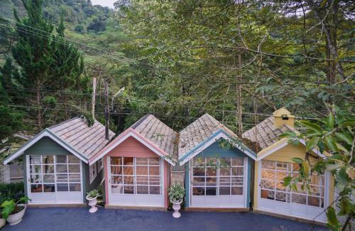 Doi Saket House | ปางสูงเฮาส์ pink house