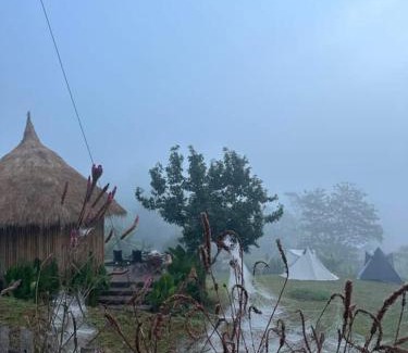 Bo Kluea House | ป๊ะกั๋นแคมป์ปิ้งฮิลล์สะปัน