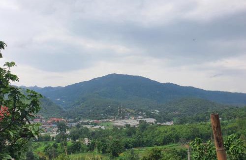 Pong Yaeng Other | พิงดอย โป่งแยง