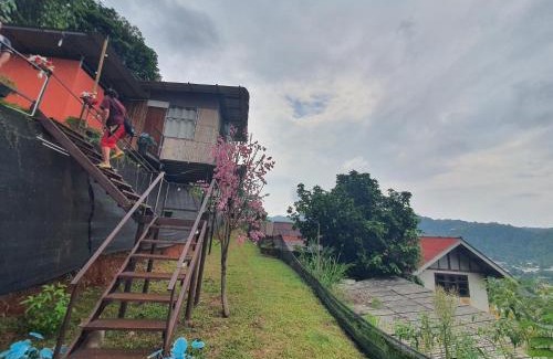 Pong Yaeng Other | พิงดอย โป่งแยง