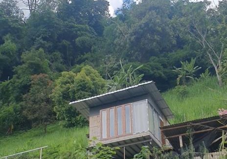 Pong Yaeng Other | พิงดอย โป่งแยง