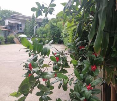 Phen Hotel | เพ็ญวิวรีสอร์ท Phenview resort