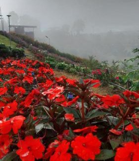 Khaem Son Apartment | ไร่ปราณปรียา