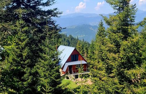 Khulo Villa | არწივის ბუდე eagle's nest