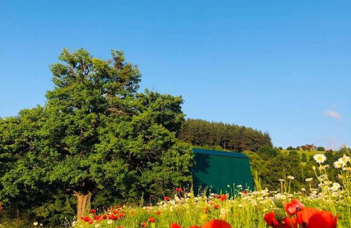 Likani Villa | კოტეჯი მზეთამზეში