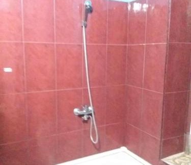 Telavi Apartment | ქირავდება კეთილმოწყობილი ბინა თელავში ალაზნის გამზირზე