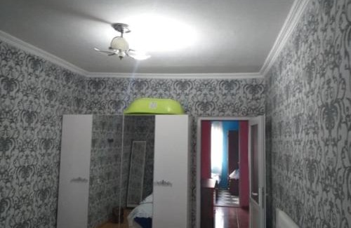 Telavi Apartment | ქირავდება კეთილმოწყობილი ბინა თელავში ალაზნის გამზირზე თვიურად
