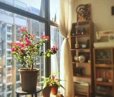 Gia Lam Apartment | Ổ nhỏ của Hằng