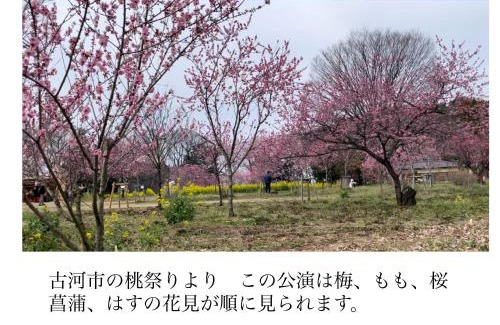 Kuki House | コンドミニアム アガサンクス