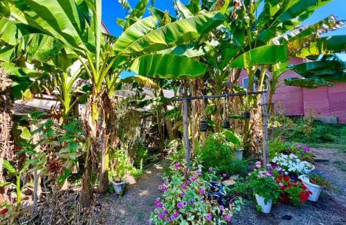 Kyotango Cabin | レンタルコテージサントロペ