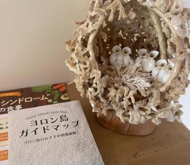 Yoron Villa | 与論島〜2023年10月25日にリニューアル〜ヴィラ島福家一軒家貸別荘