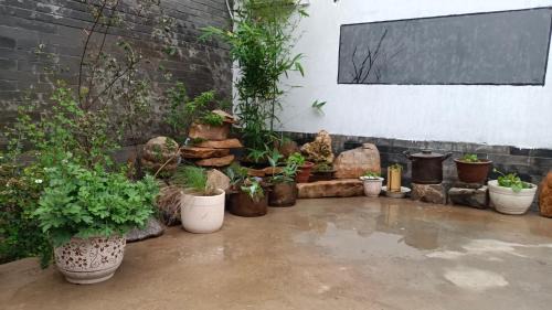 Shanhaiguan House | 南金民宿