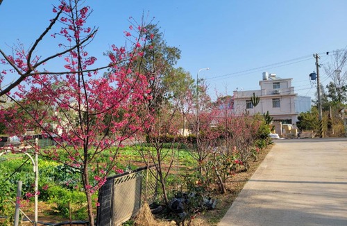 Jinning House | 好宿民宿