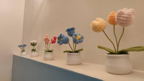 Chishang House | 池上投優榻 Smart living B&B