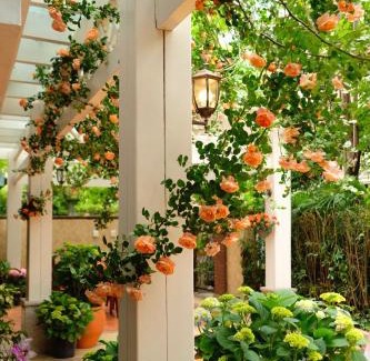 Dujiangyan Villa | 福来小院民宿