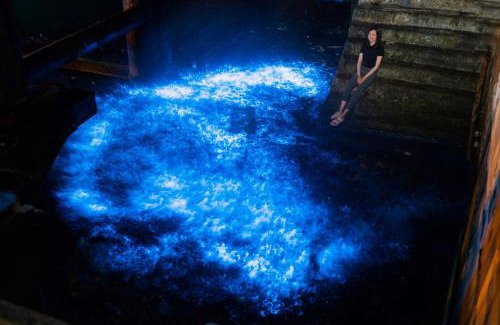 Beigan House | 芹壁五家村民宿