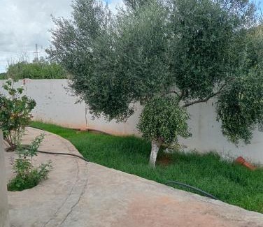 Dar Allouche House | 0 stress