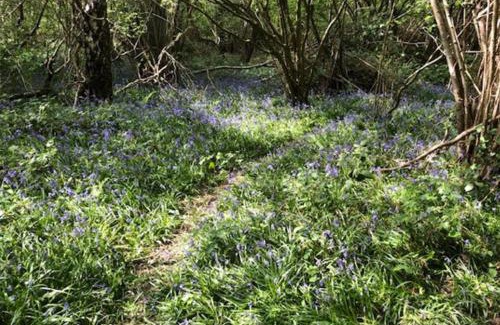 Copthorne Apartment | 1 Bedroom Apartment Sleeps 2 - Pets Welcome - Tv