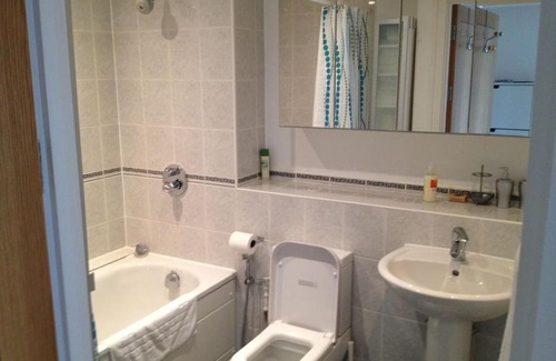 Queenstown Apartment | 1 Bedroom in Chelsea Bridge Wharf