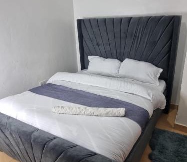 Nairobi Apartment | 1 bedroom TRM drive Roysambu Thika road