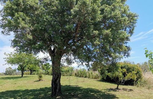 Siniscola House | 1 House