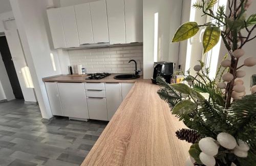 Craiova Apartment | 1 Mai - Luxury Park Apartments - Self Check-in - Private parking - 1
