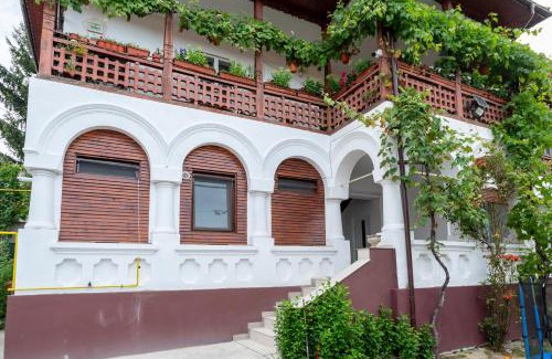 Calimanesti House | 1 Mai