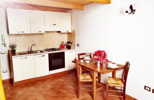 Oltrarno Apartment | 1 pitti apartment