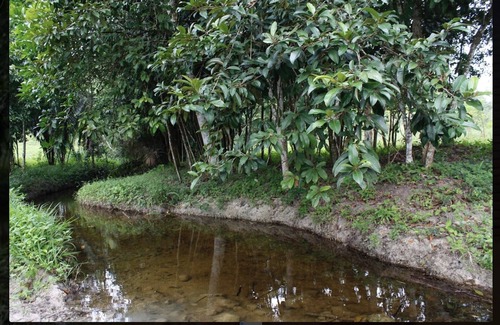 Billy White House | 10 Mins From Spanish Lookout - 2 Bedroom Apartment On 80 Acre Ranch